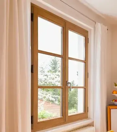 Fenêtre sécurisée poignée